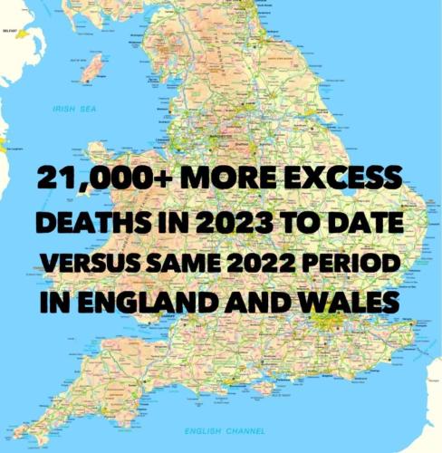 IMG_20230414_144031_653