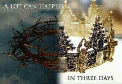 4d49d72a-5c7d-439e-bff5-69e4100ca40e