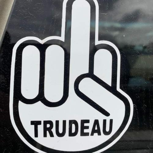 FB_IMG_1682210322367