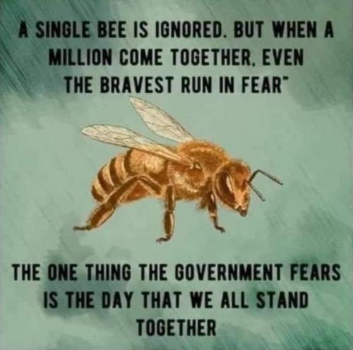 Screenshot_20230419_205903_Quora