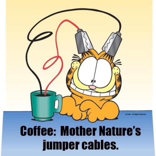 339909795_753517326332575_6421573331755031552_n