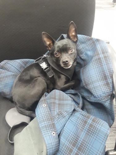 b4b45d5d-3e43-44cb-a0ba-c5fd257c21b6