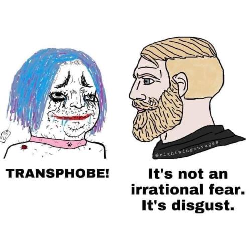 FB_IMG_1681143584400