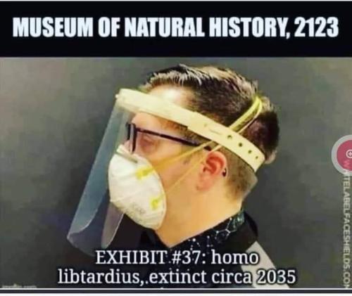 FB_IMG_1682518673000