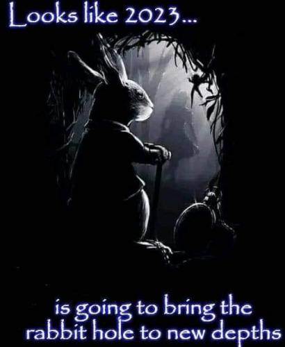 Rabbit Hole 1