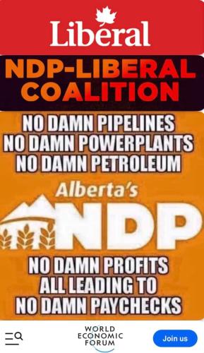 ndp libs