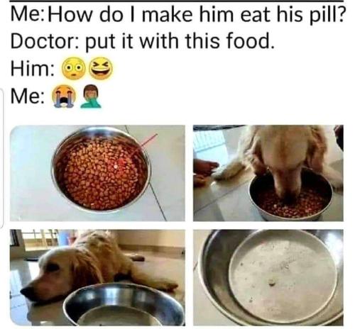 eat his pill