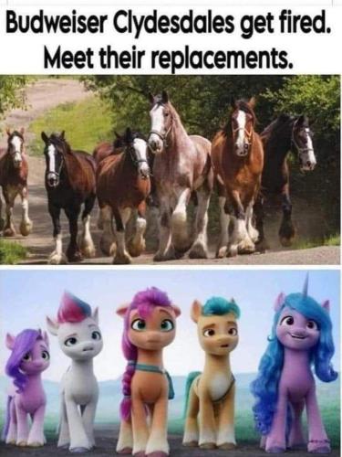 FB_IMG_1681870318487