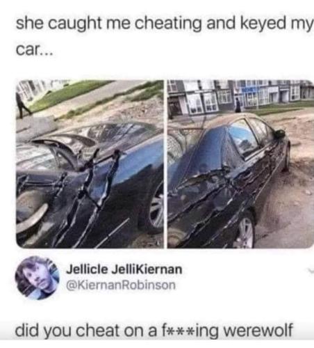 FB_IMG_1681057613600