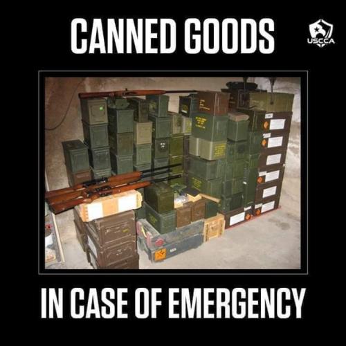 FB_IMG_1680999328551