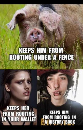 FB_IMG_1681742321992