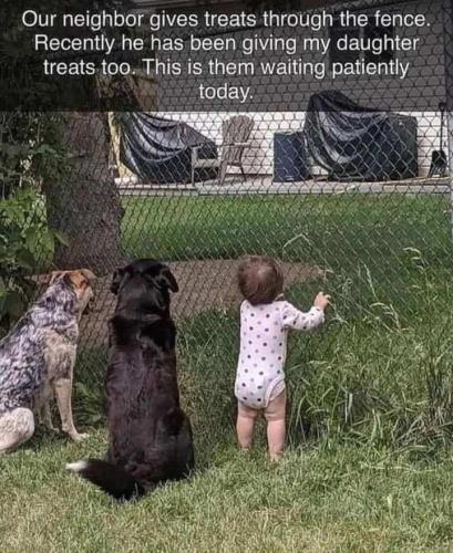 7dc0307b-a3fc-4a0f-9d9c-524e063de354