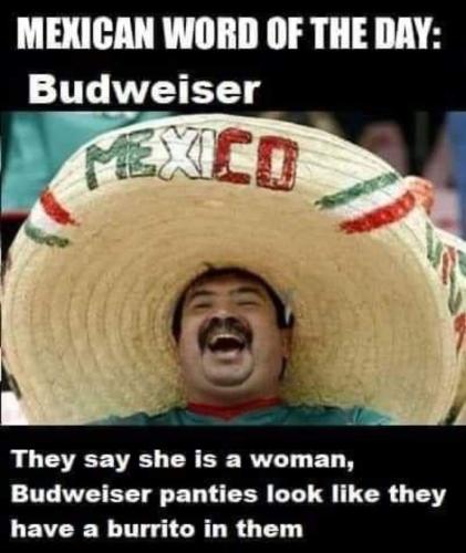 FB_IMG_1681394495573