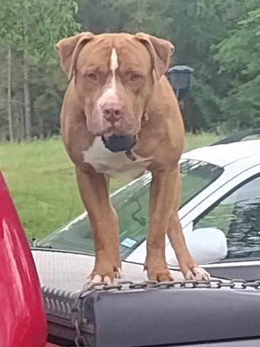 FB_IMG_1681437257829