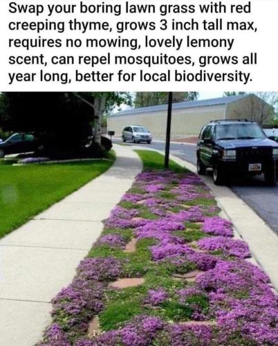 FB_IMG_1682037707653