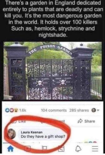 FB_IMG_1681690266071