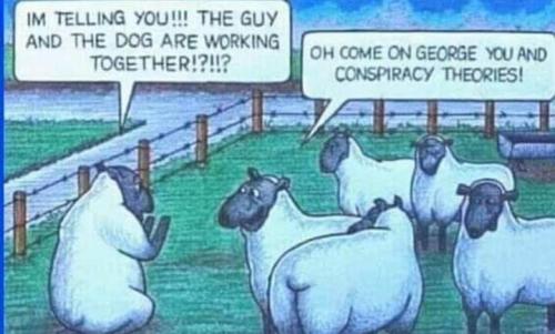 FB_IMG_1680777212629