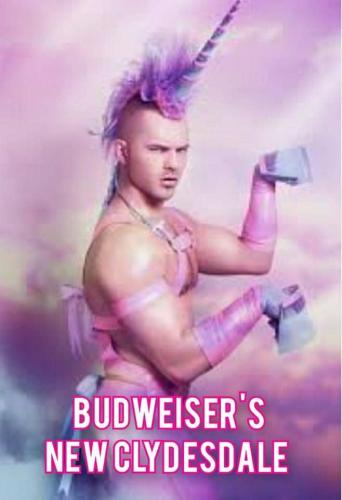 Bud 1