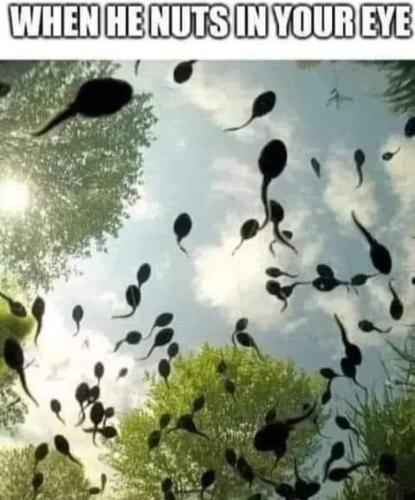 FB_IMG_1681076479642