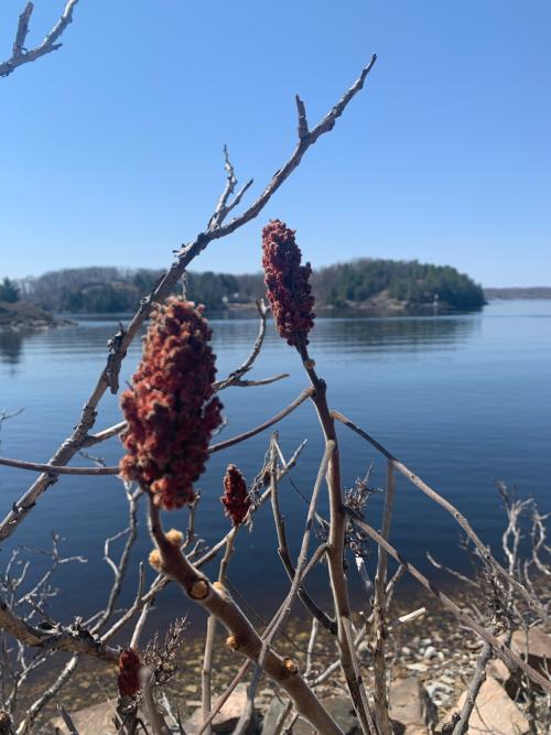 F20B9CBF-E525-4799-9970-DDA30B7DB3F5