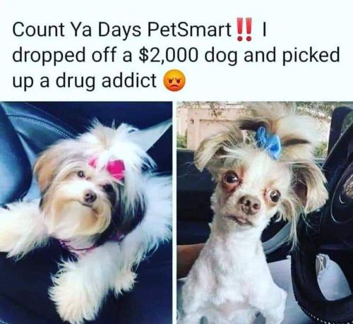 count your days