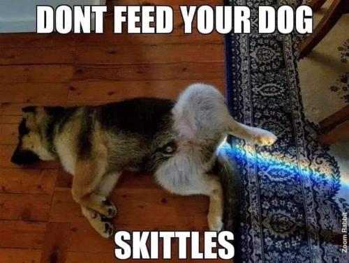 FB_IMG_1682610434868