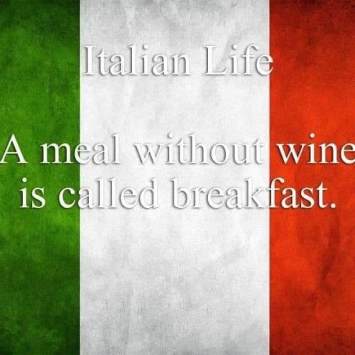 337663709_169218345587372_7115388567000698204_n