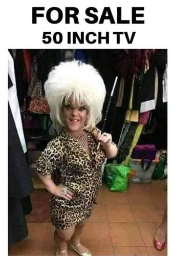 FB_IMG_1681751522076