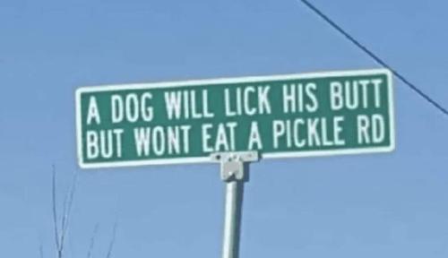 FB_IMG_1681759789937