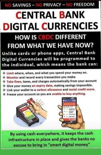 central bank digital currency