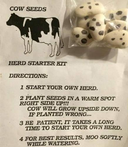 335045615_224192180104747_7252883045776154604_n