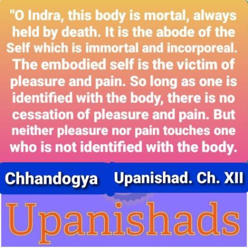 51cCp52jAWL._AC_AC_SR98,95_