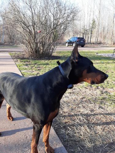 IMG_20230319_163113_876