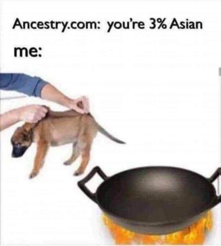 FB_IMG_1680804362459