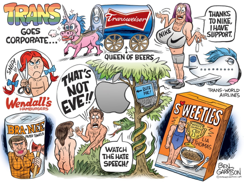 Ben Garrison on Adam and Steve