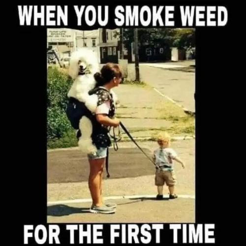 FB_IMG_1681229586386