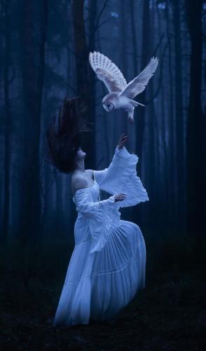 tumblr_b148ad7617d9f46df8c26fcb7011a2a1_3eb00de7_640