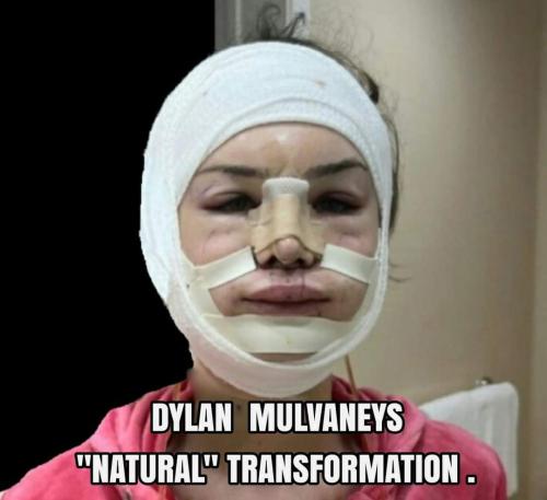 FB_IMG_1681476415180