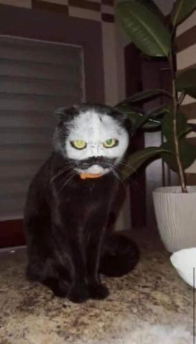 FB_IMG_1682626210163