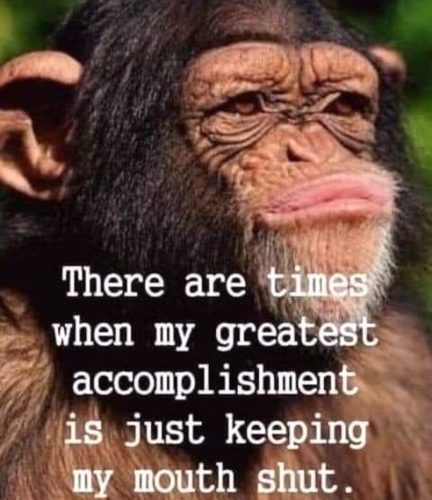 Screenshot_2023-04-04-00-48-36_kindlephoto-113576740