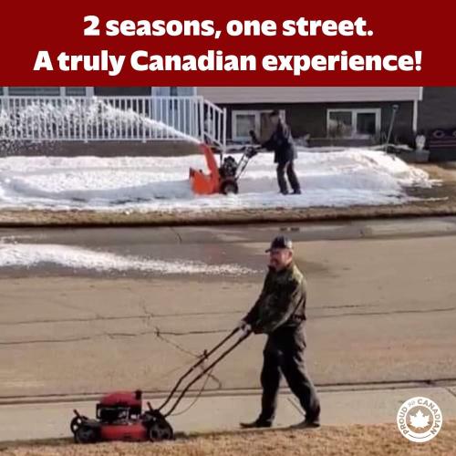 2 seasons one street