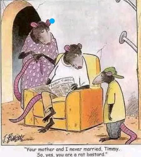 FB_IMG_1682095422034