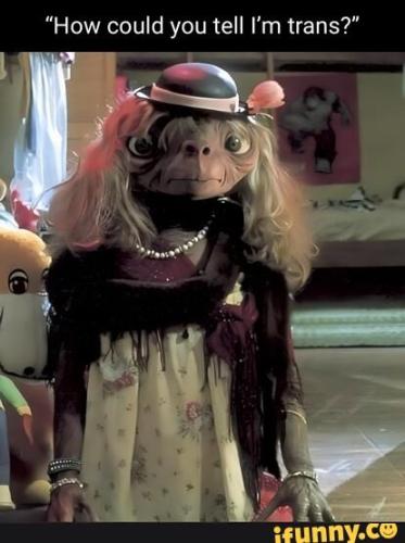 1bd246cb-960c-4104-a194-edf50643864b