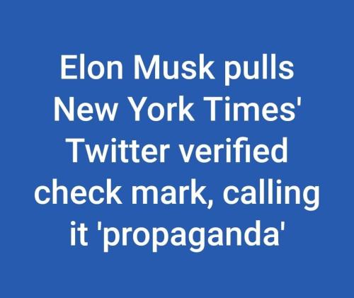 FB_IMG_1680708668111