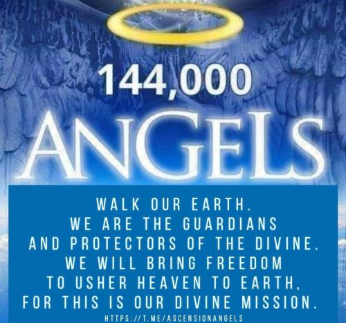 IMG_20230419_103251_377