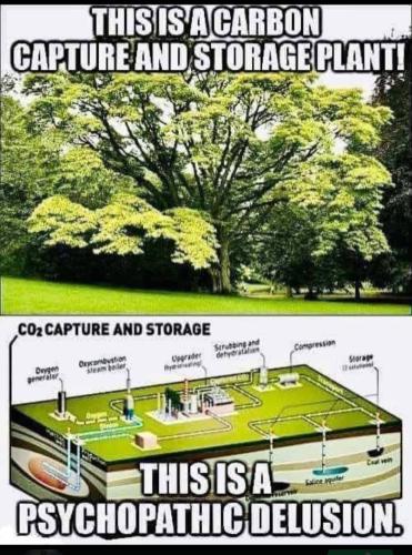 Screenshot_20230422_175516_Chrome