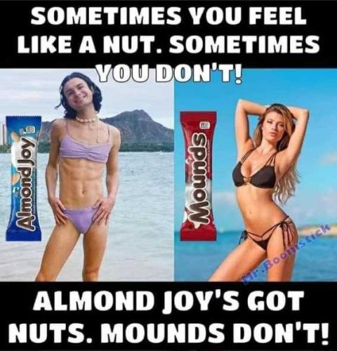 dlfVargoZtP7tIZnx9PY_22_9536dac5403755eca79f995f4192492a_image