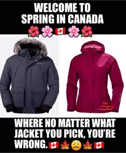 welcome to spring
