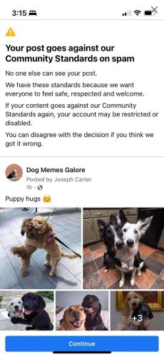 FB_IMG_1681221377555