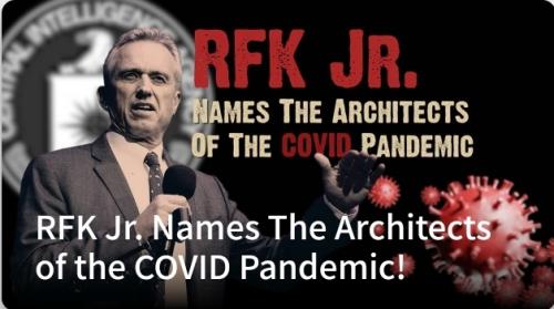 Screenshot_20230424_103154_Brave